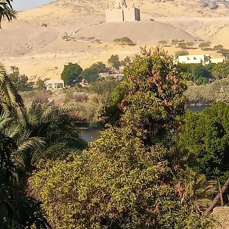 Freedom Nubian Guest House Aswan Buitenkant foto